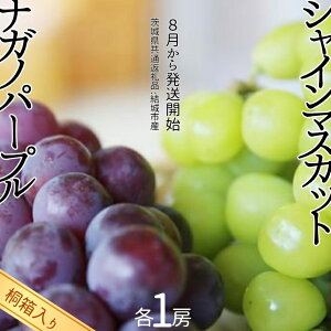 yӂ邳Ɣ[Łzy ˔ z VC}XJbg 1[  iKmp[v 1[ y8甭Jnzi錧ʕԗi [Ԃǂ]FsYj ʕ t[c }XJbg Ԃǂ Mtg 