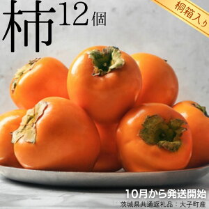 yӂ邳Ɣ[Łzy ˔ z ` 12 y10甭Jnzi錧ʕԗi [`]FqYj t[c ʕ G H Mtg ˔ v[g 