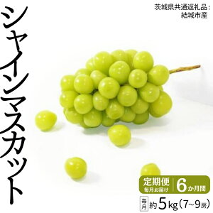 yӂ邳Ɣ[Łzyցz VC}XJbg 7`9[(5kg) × 6A͂I y2026N8甭Jnz i錧ʕԗi [Ԃǂ]FsYj   VC}XJbg }