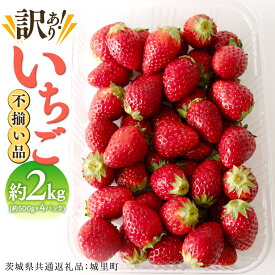 【ふるさと納税】【 訳あり 】いちご 2kg（500g×4パック）【2026年1月から発送開始】（茨城県共通返礼品 [いちご]：城里町産） 果物 フルーツ 苺 イチゴ 不揃い わけあり 先行予約 家庭用 アレンジ お菓子作り スイーツ