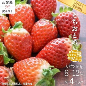 yӂ邳Ɣ[Łzy Ε lt z ƂƂ qr 嗱 250gi8`12j×4pbNy2025N12甭Jnzi錧ʕԗi []F闢Yj   C`S ƂƂ