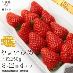 yӂ邳Ɣ[Łzy Ε lt z悢Ђ߁qr嗱 250gi8`12j×4pbNy2025N12甭Jnzi錧ʕԗi []F闢Yj   C`S 悢Ђ