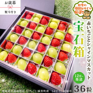 yӂ邳Ɣ[Łzy Ε lt zԂƃVC}XJbg̕Δ 36y2025N12甭Jnzi錧ʕԗi []F闢Y@[Ԃǂ]Fsj   C`S 