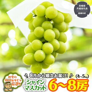 yӂ邳Ɣ[Łzcɂ̊ł₶IIVC}XJbg͂ꂾ؃Zbg6`8[y2025N8甭Jnz i錧ʕԗi [Ԃǂ]FsY) Mtg t[c ʕ Ԃ