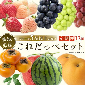 【ふるさと納税】田舎の頑固おやじが厳選！【 定期便 】旬 の フルーツはこれだっぺ セット 毎月1回 1年コース ( 計12回 ) ギフト フルーツ 詰合せ 人気 厳選 定期 果物 くだもの 旬のフルーツ フルーツセット