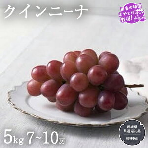 yӂ邳Ɣ[Łz_ Iׂ[ ^ NCj[i 2[ or 7`10[ y2025N9蔭Jnzi錧ʕԗi [Ԃǂ]FsYj Ԃǂ uhE  ʕ t[c 錧Y