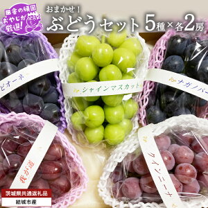 yӂ邳Ɣ[Łz_ Iׂ[ ^ ܂ I ԂǂZbg 5i ×e1`2[y2025N9蔭Jnzi錧ʕԗi [Ԃǂ]FsYj Ԃǂ uhE  ʕ t[c 錧