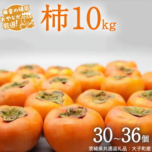 yӂ邳Ɣ[Łz_ Iׂe ^` 3kgi15`18j`10kgi30`36jy10蔭Jnzi錧ʕԗiFqYj`  JL ʕ t[c 錧Y