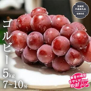 yӂ邳Ɣ[ŁzSr[ 5kg (7~10[) y2025N9蔭Jnzi錧ʕԗi [Ԃǂ]FsYjԂǂ uhE  ʕ t[c 錧Y
