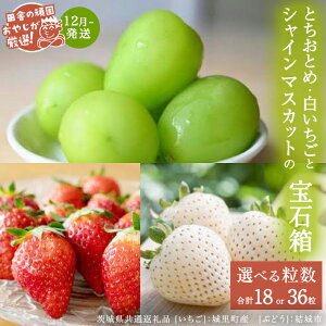 yӂ邳Ɣ[Łz _ Iׂ闱 ^uX18E36vƂƂ߂ƔƃVC}XJbgy12蔭Jnzi錧ʕԗi []F闢Y@[Ԃǂ]Fsj 