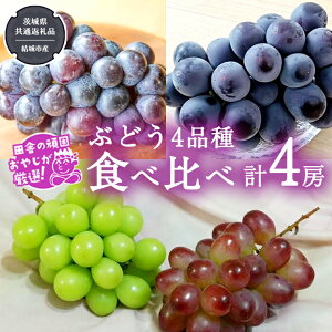 yӂ邳Ɣ[Łz_ Iׂi퐔 ^ Ԃǂ Hה ie1[j y8蔭Jnz i錧ʕԗi [Ԃǂ]FsYj uhE  ʕ t[c 錧Y