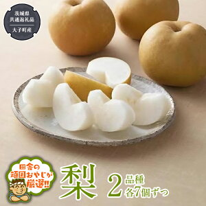 yӂ邳Ɣ[Łz 2i ie7jy8蔭Jnzi錧ʕԗi []FqYj Ȃ iV ʕ t[c 錧Y