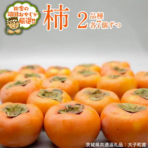 yӂ邳Ɣ[Łz` 2iie7jy10{蔭Jnzi錧ʕԗiFqYj ʕ t[c 錧Y