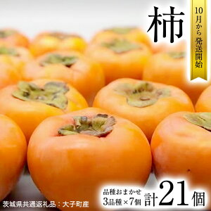 yӂ邳Ɣ[Łz`@3i Hה e7y10{蔭Jnzi錧ʕԗiFqYj ʕ t[c 錧Y
