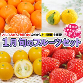 【ふるさと納税】旬のフルーツセット 1月号 【令和7年1月より発送開始】田舎の頑固おやじが厳選！