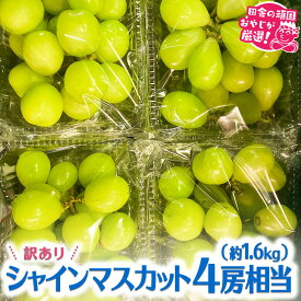 楽天市場 ふるさと納税 訳あり マスカットの通販