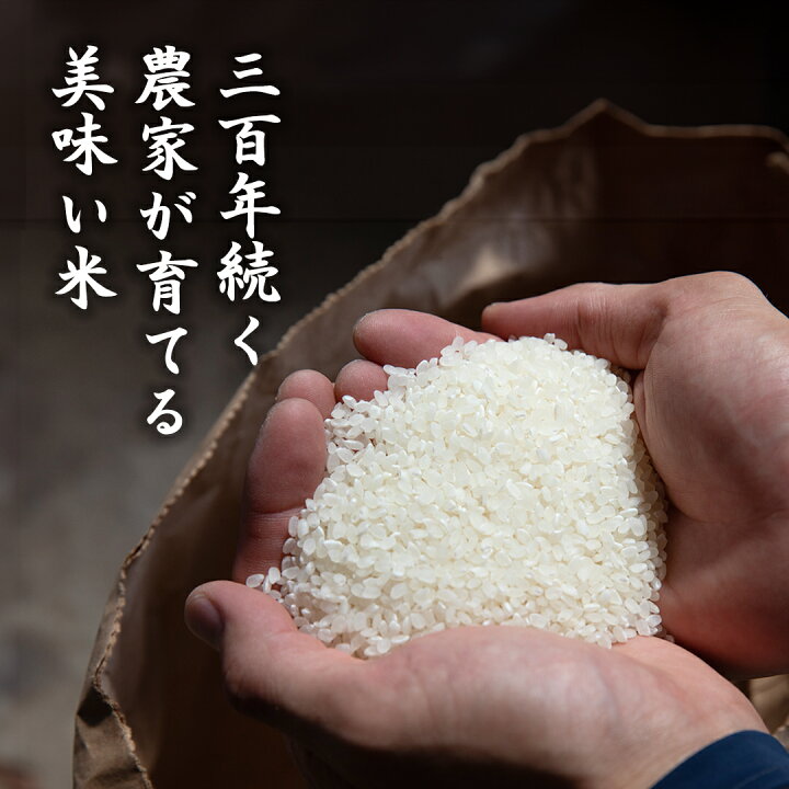 楽天市場】【ふるさと納税】＼ 精米種別・出荷時期・内容量が選べます 