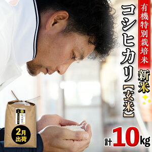 yӂ邳Ɣ[Łz_ ĎʁEz񐔁Eo׎EeʂIׂ܂I ^ ߘa7NYy V zOSN_Ƃ L@ʍ͔| RVqJ 5kg 10kg  L@͔| _n   R 