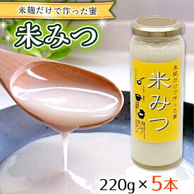 【ふるさと納税】米糀だけで作った蜜　【米みつ】×5個