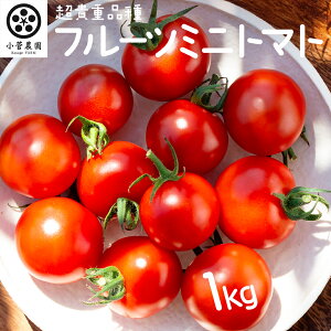 yӂ邳Ɣ[Łzt[c~jg}g 1kg y2026N110Jnz t[c~jg}g ~jg}g Ƃ܂ Rs t[cg}g 