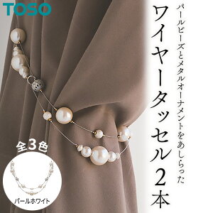 yӂ邳Ɣ[ŁzTOSO C[^bZP65 p[zCg J[e^bZ ^bZ ^bZoh C[^bZ J[e J[eANZT[ uCh [XN[