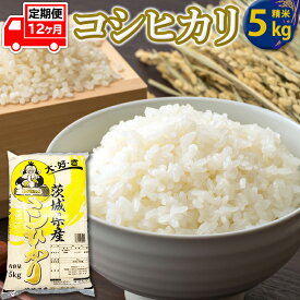 【ふるさと納税】【定期便】コシヒカリ（5Kg×12ヶ月） 新生活 プレゼント 新生活応援 必要なもの 便利 おすすめ 消耗品 一人暮らし 二人暮らし 必要