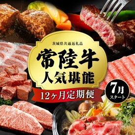 【ふるさと納税】 ＼ 選べるスタート月 ／ 【 定期便 全12回 】常陸牛 人気 12ヶ月 堪能セット 牛肉 肉 お肉 国産 国産牛 ヒレ ステーキ ハンバーグ サーロイン 赤身 切り落とし 霜降り カルビ すき焼き しゃぶしゃぶ 和牛 黒毛和牛 (茨城県共通返礼品)