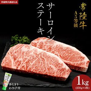 yӂ邳Ɣ[Łz _ Xs[h ^ y 헤 z A5  T[CXe[L iIׂeʁj 500g E 750g E 1kg 炬 킳 t (錧ʕԗi) Ђイ uh Xe[L