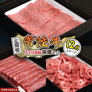 yӂ邳Ɣ[Łz_ IׂX^[g ^y  zy S3 zw 헤 xlC3\Zbgi 3Ał͂ j    Ԑg ؂藎Ƃ јa a Yјa Y