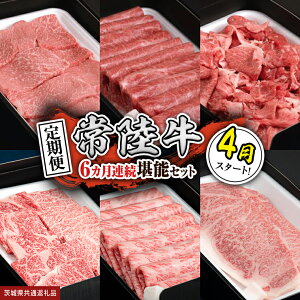 yӂ邳Ɣ[Łz _ IׂX^[g ^yցzyS6zw헤xlC6\Zbgi6Ał͂j    Ԑg ؂藎Ƃ јa a Yјa Y (