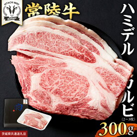 【ふるさと納税】＼ 選べる容量！ ／ 【 常陸牛 】A5 等級 ハミデルカルビ 300g 500g 1kg ひたちぎゅう ブランド牛 カルビ 国産牛 黒毛和牛 和牛 国産黒毛和牛 お肉 A5ランク 高級 BBQ パーティ (茨城県共通返礼品)