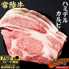 【ふるさと納税】＼ 選べる 内容量 ＆ スピード発送 ／【 常陸牛 】A5 等級 ハミデルカルビ 300g 500g 1kg ひたちぎゅう ブランド牛 カルビ 国産牛 黒毛和牛 和牛 国産黒毛和牛 お肉 A5ランク 高級 BBQ パーティ (茨城県共通返礼品)