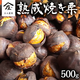 【ふるさと納税】 ＼ 選べる内容量 ／ 庄七農園 限定 熟成 焼き栗 1kg 【 2025年10月から順次お届け 】 栗 くり 焼栗 おやつ スイーツ 茨城 和栗 美味しい 果物 フルーツ