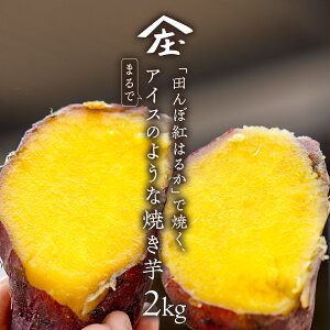 yӂ邳Ɣ[Łz_ Iׂe ^uc g͂邩vŏĂA܂ŃACX̂悤ȏĂ 1kg (  ) ` 2kg (  ) Ă  ܂  XC[c  _