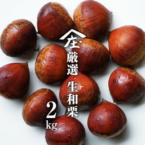 yӂ邳Ɣ[Łz_Iׂeʁ^ I aI 1kg or 2kgy_z I ʎ I I a ØI }ObZ t[c 錧 aI