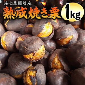 記事番号:99/アイテムID:357734の画像