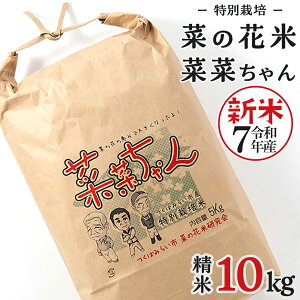 yӂ邳Ɣ[Łzߘa7NY RVqJ (  10kg ) ʍ͔| ؂̉ԕ u؍؂v   ͂   Y 錧Y V v[g V KvȂ ֗  