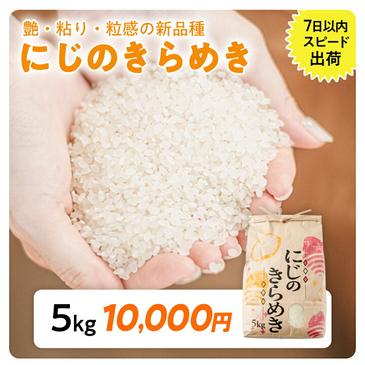 楽天市場】【ふるさと納税】 最短翌日出荷!! 米 1kg / 2kg / 3kg / 5kg 