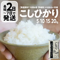 【ふるさと納税】＼ 最短 2日で発送 ／ コシヒカリ 5kg / 10kg...