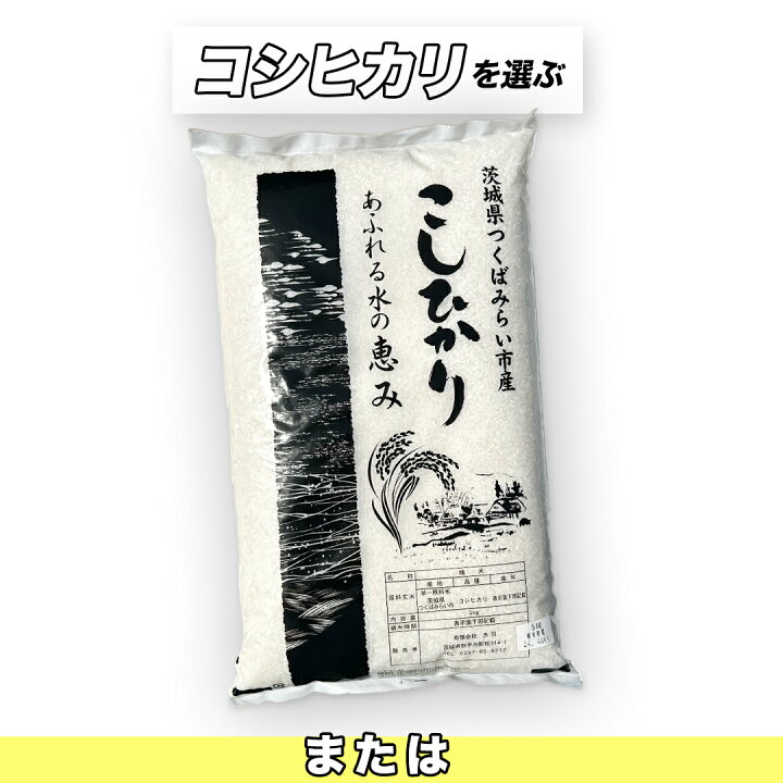 楽天市場】【ふるさと納税】☆最短2日後に発送☆ コシヒカリ 品種 