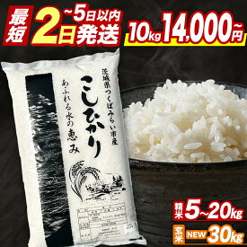 【ふるさと納税】★最短2営業日で発送★ コシヒカリ 精米 玄米 品種おまかせ 5kg 10kg 15kg 20kg 30kg ＼ 選べる発送時期 ／令和7年産 定期便 茨城県つくばみらい市産 ｜ 米 コメ 単一米 7500 8500 14000 16000 コスパ 茨城県産 国産 単一原料米