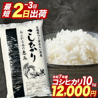 【ふるさと納税】R7産 米 楽天限定 ★【楽天セレクション対象】新米 出荷...