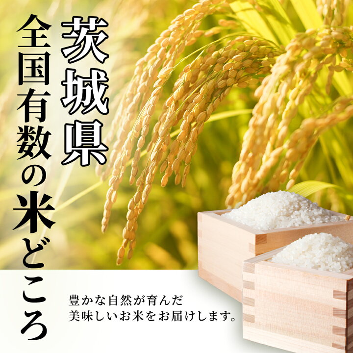楽天市場】【ふるさと納税】☆最短2日後に発送☆ コシヒカリ 品種 