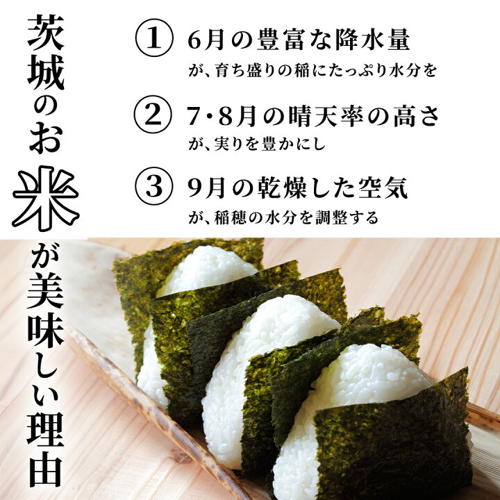 楽天市場】【ふるさと納税】☆最短2日後に発送☆ コシヒカリ 品種 