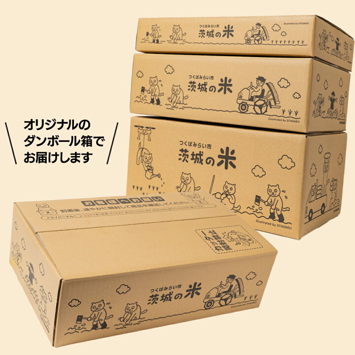楽天市場】【ふるさと納税】☆最短2日後に発送☆ コシヒカリ 品種 