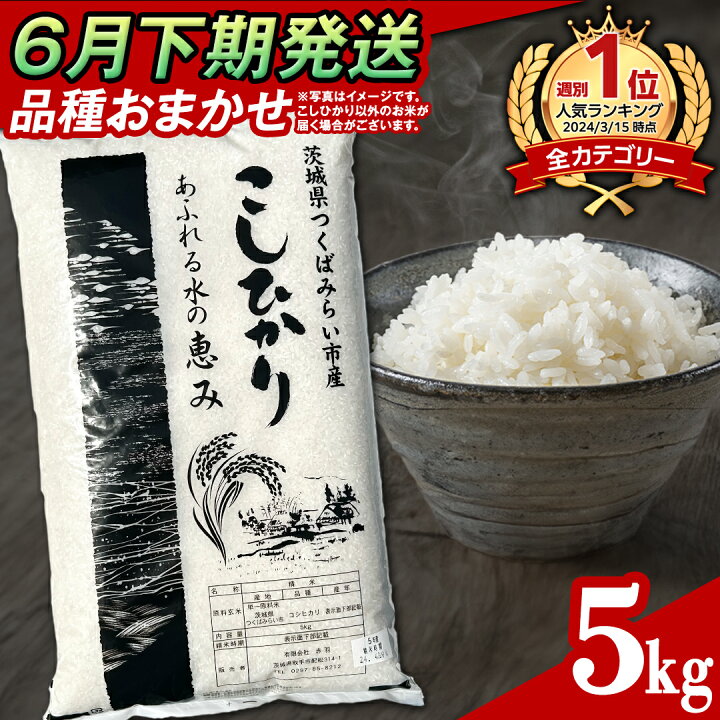 楽天市場】【ふるさと納税】【 生活応援！】 茨城県産 米 令和6年産  