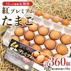 【ふるさと納税】独自飼料 濃厚 たまご 紅プレミアム 30個 or 50個 選べる内容量・お届け回数 3回・6回・12回 ＜サンサンエッグ＞ 独自飼料 濃厚 おいしい玉子 玉子 卵 定期便 たまご サンサンエッグ タンパク質 生活応援 家計応援