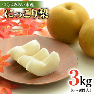 yӂ邳Ɣ[Łzɂ藜 3kg y10Jnz  iV Ȃ ʕ t[c H 錧 fU[g ʎ