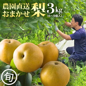 yӂ邳Ɣ[Łz_I܂  3kg y7{Jnz iV Ȃ ʕ t[c fU[g H 錧 ͂܂ Ă K L Â b Ñ ɂ