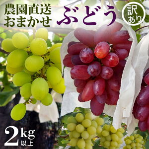 yӂ邳Ɣ[Łzy 󂠂 z ƒp ̂ Ԃǂ ii킨܂j v 2kg ȏ  Ԃǂ uhE _ ʕ t[c fU[g Hה H 錧 Ԍ Gߌ